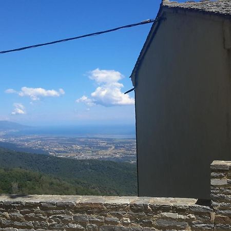 Gite La Fontaine Corse Loreto-di-Casinca Экстерьер фото
