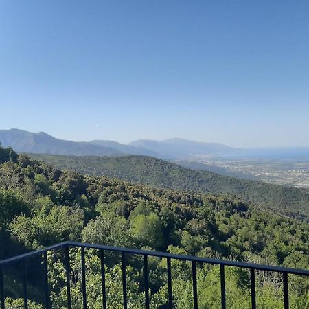 Gite La Fontaine Corse Loreto-di-Casinca Номер фото