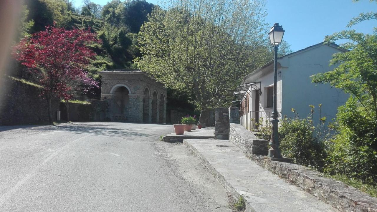Gite La Fontaine Corse Loreto-di-Casinca Экстерьер фото