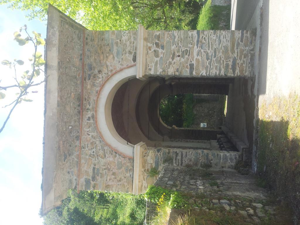Gite La Fontaine Corse Loreto-di-Casinca Номер фото