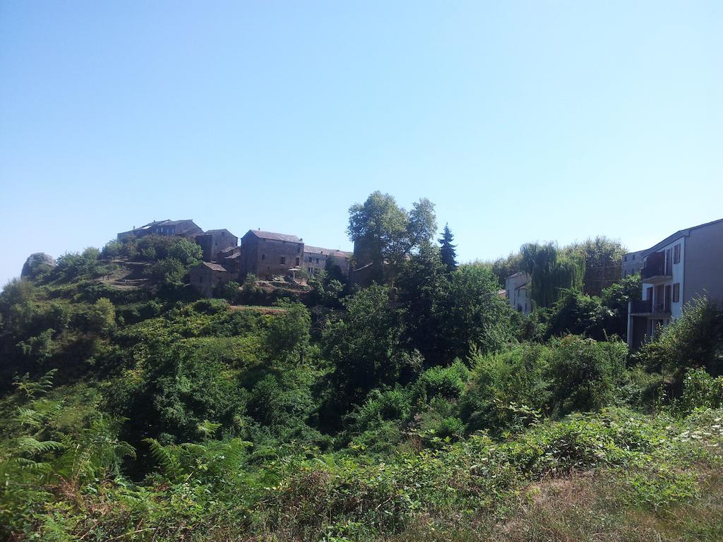 Gite La Fontaine Corse Loreto-di-Casinca Номер фото