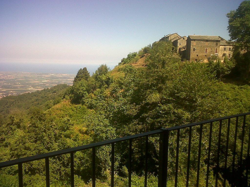 Gite La Fontaine Corse Loreto-di-Casinca Номер фото