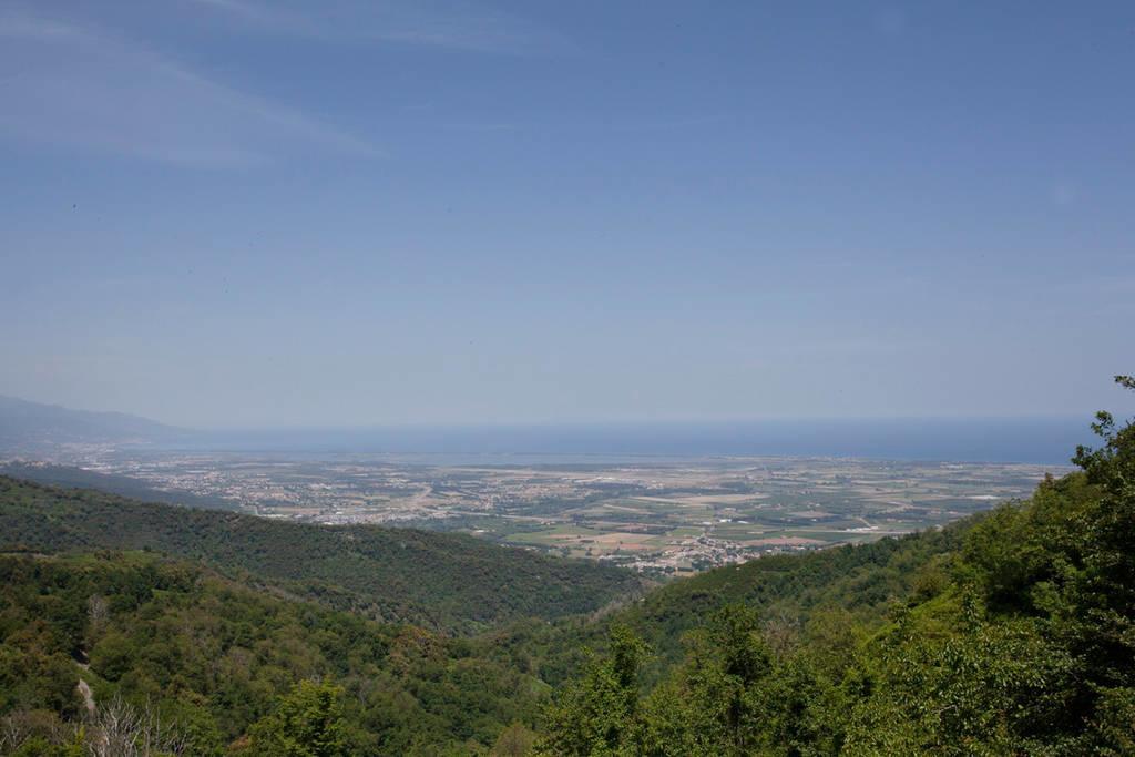 Gite La Fontaine Corse Loreto-di-Casinca Номер фото